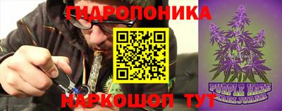индика Апрелевка