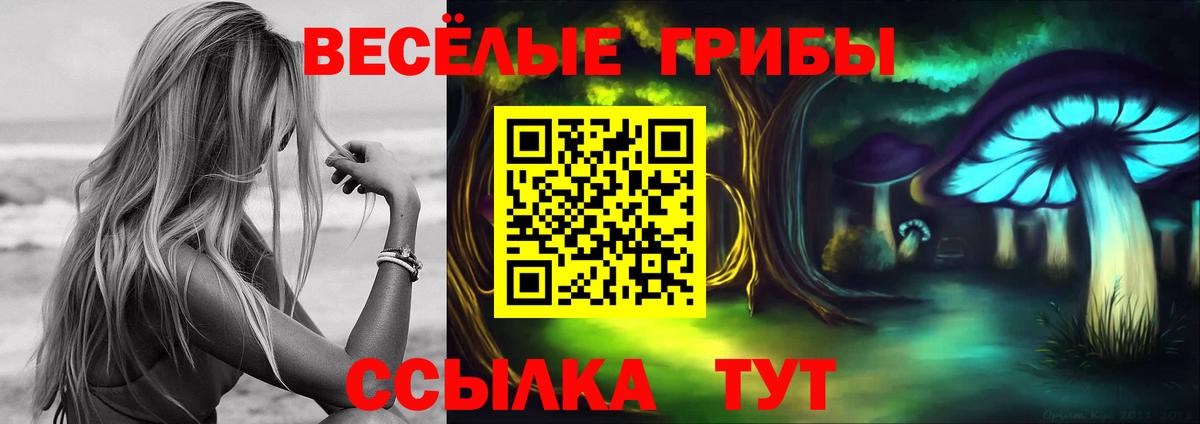 Галлюциногенные грибы Magic Shrooms  Вход с VPN  Берёзовский  Псилоцибиновые грибы прущие грибы 